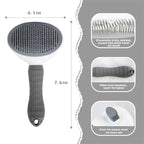 Brosse autonettoyante