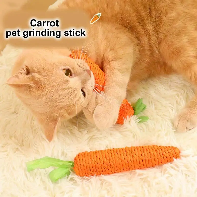 Carotte pour chat