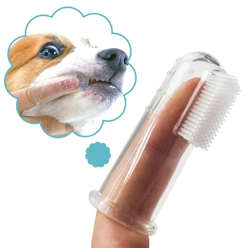 Brosse à dents doigt pour chiens et chats