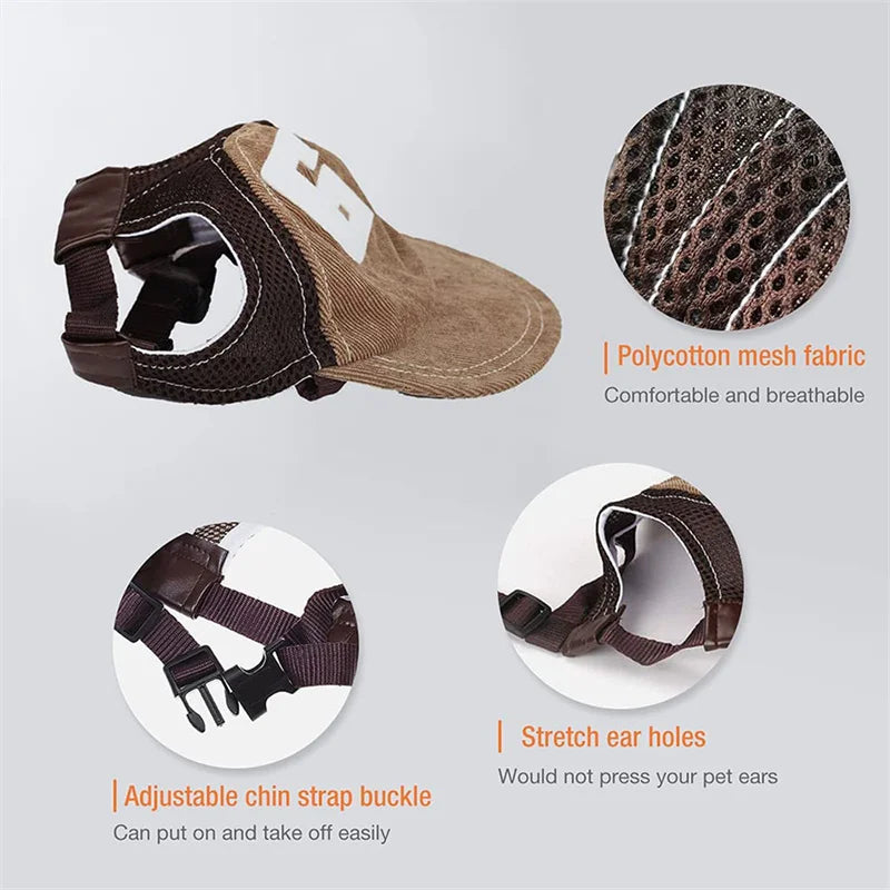 casquette pour chien
