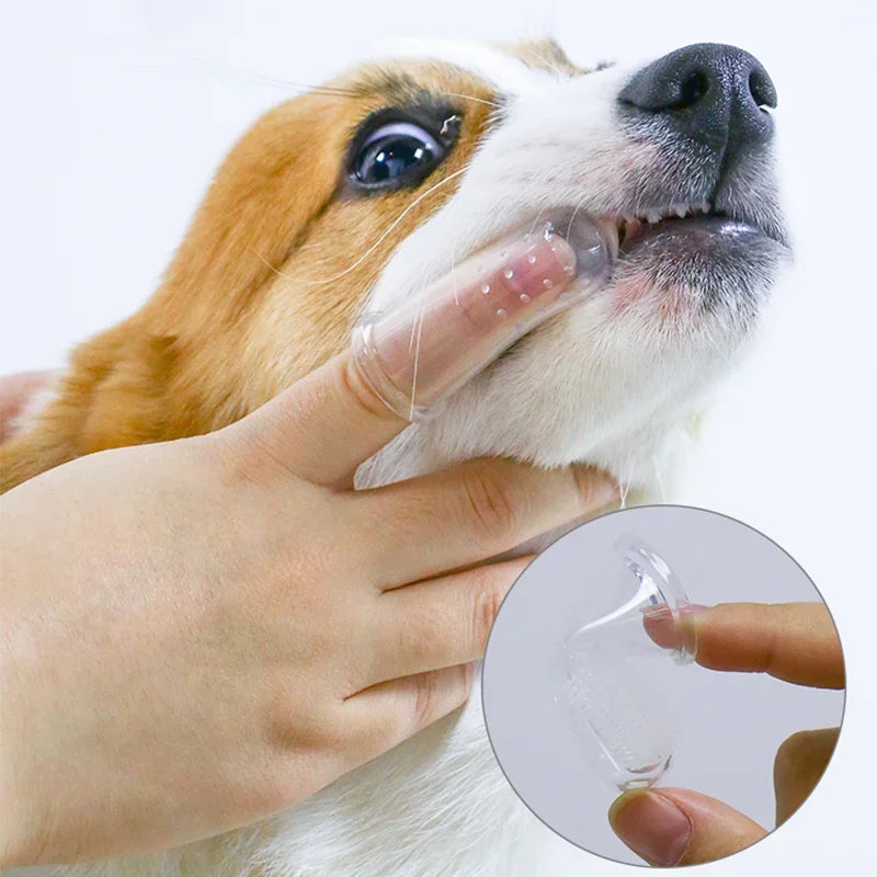 Brosse à dents doigt pour chiens et chats